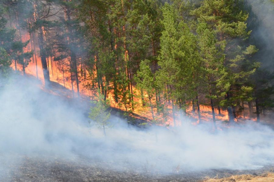 Өнгөрсөн долоо хоногт ой, хээрийн түймэр 16 бүртгэгджээ